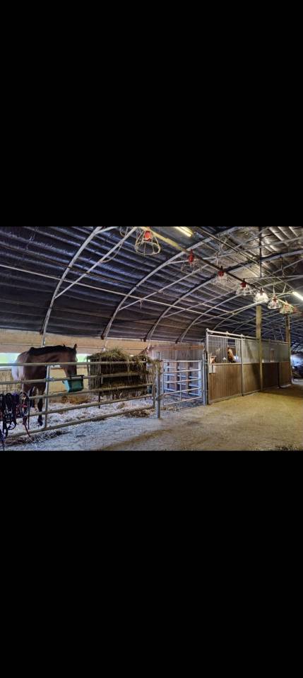 Pension pr&eacute; pour chevaux 