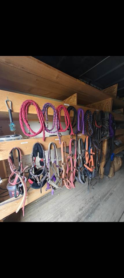 Pension pr&eacute; pour chevaux 