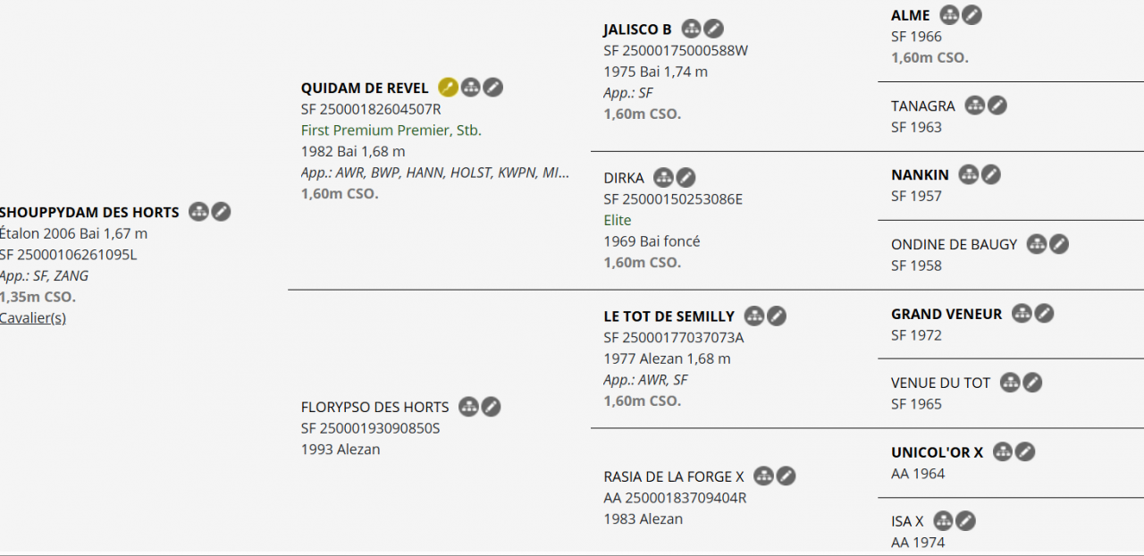 PAILLETTES ETALON libre de droit SHOUPPYDAM DES HORTS