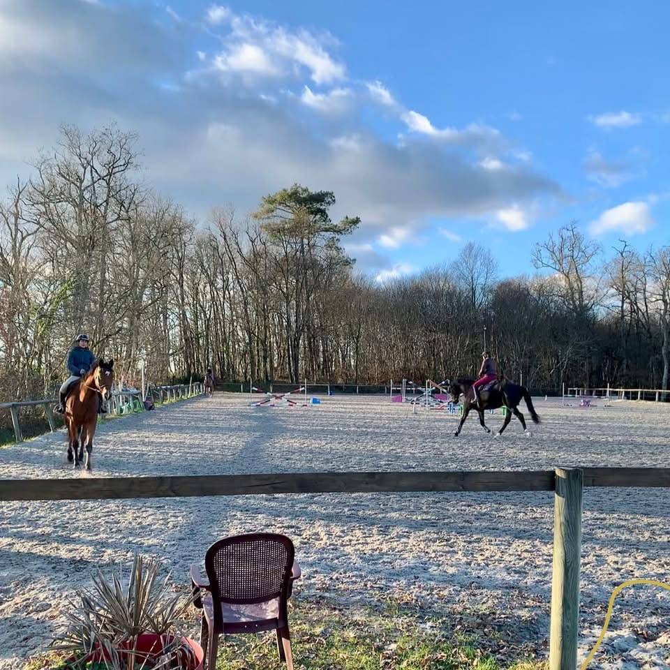 &Eacute;curie Novum - &Eacute;curie de propri&eacute;taire/ Poney Club 