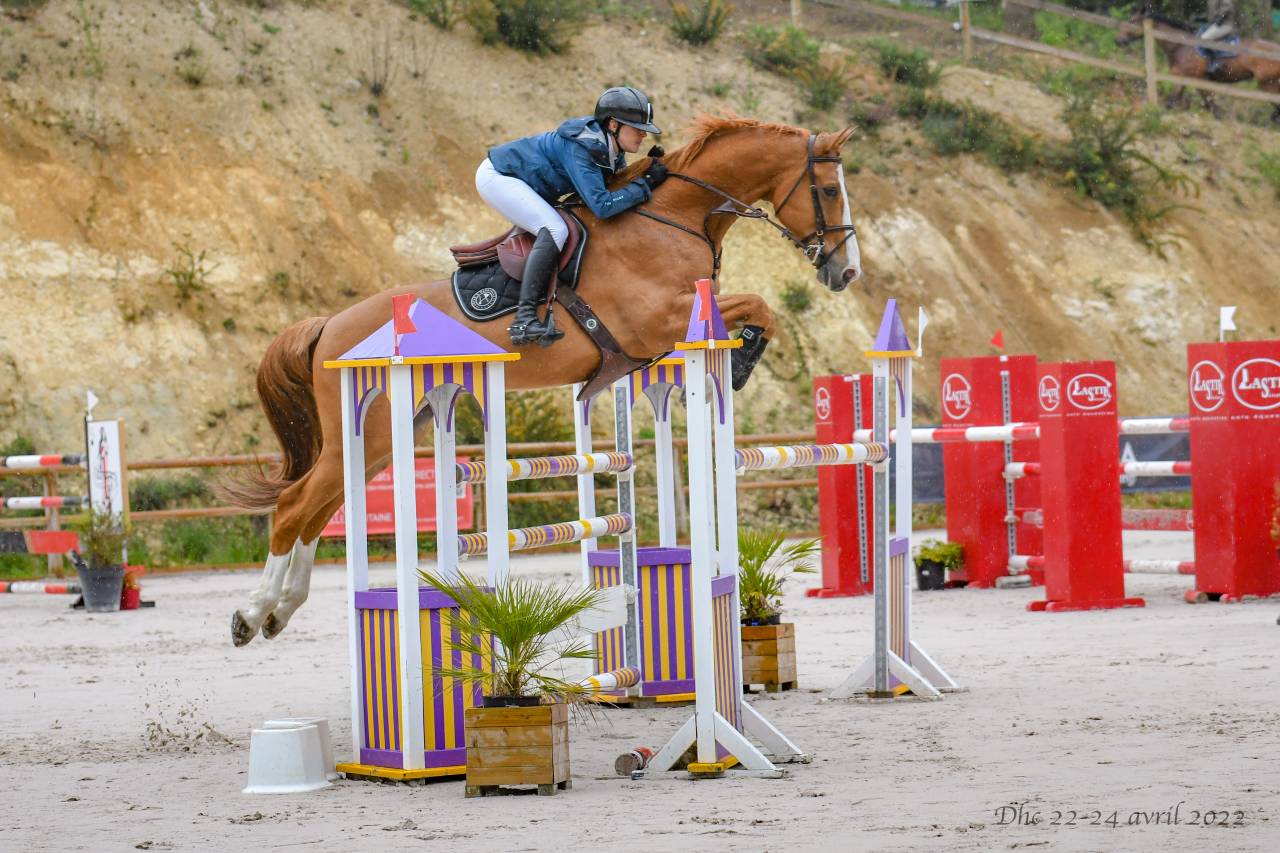 &Eacute;curie Novum - &Eacute;curie de propri&eacute;taire/ Poney Club 