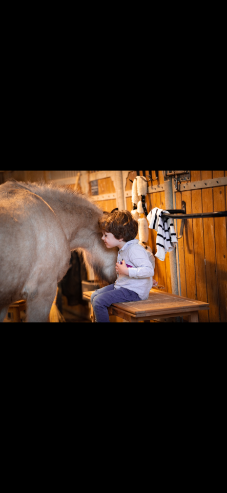 &Eacute;curie Novum - &Eacute;curie de propri&eacute;taire/ Poney Club 