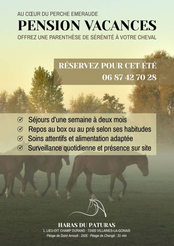Pension vacances pour votre cheval !