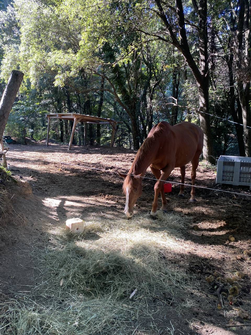 Gîte dans les Cévennes 