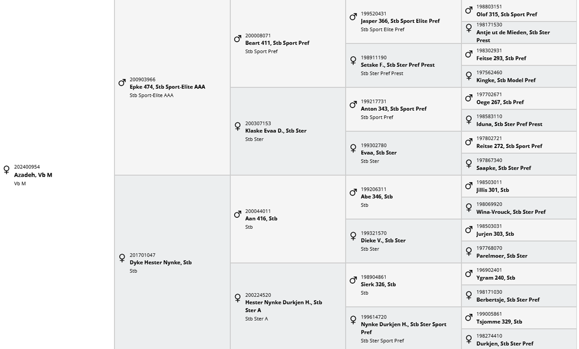 Pouliche frison PP EPKE 474 X AAN 416