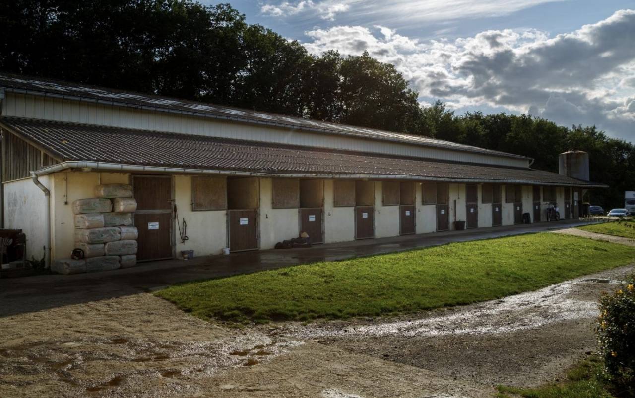 Pension chevaux 