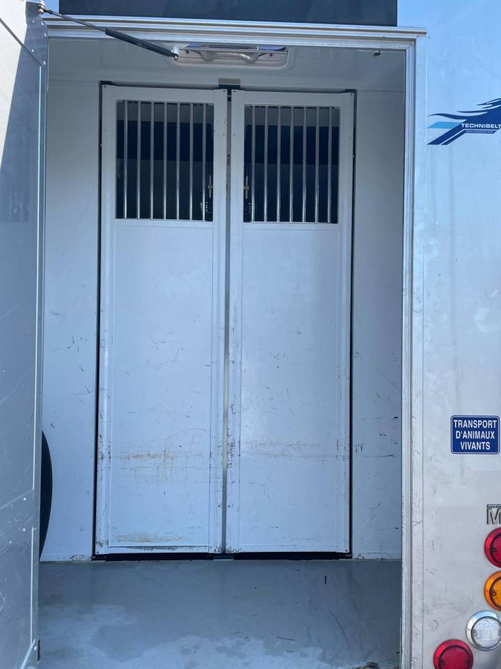 Camion pour chevaux MTM- TO 737