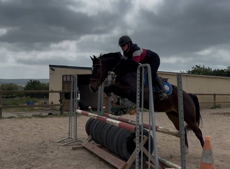 Poney hors côtes 5 ans 