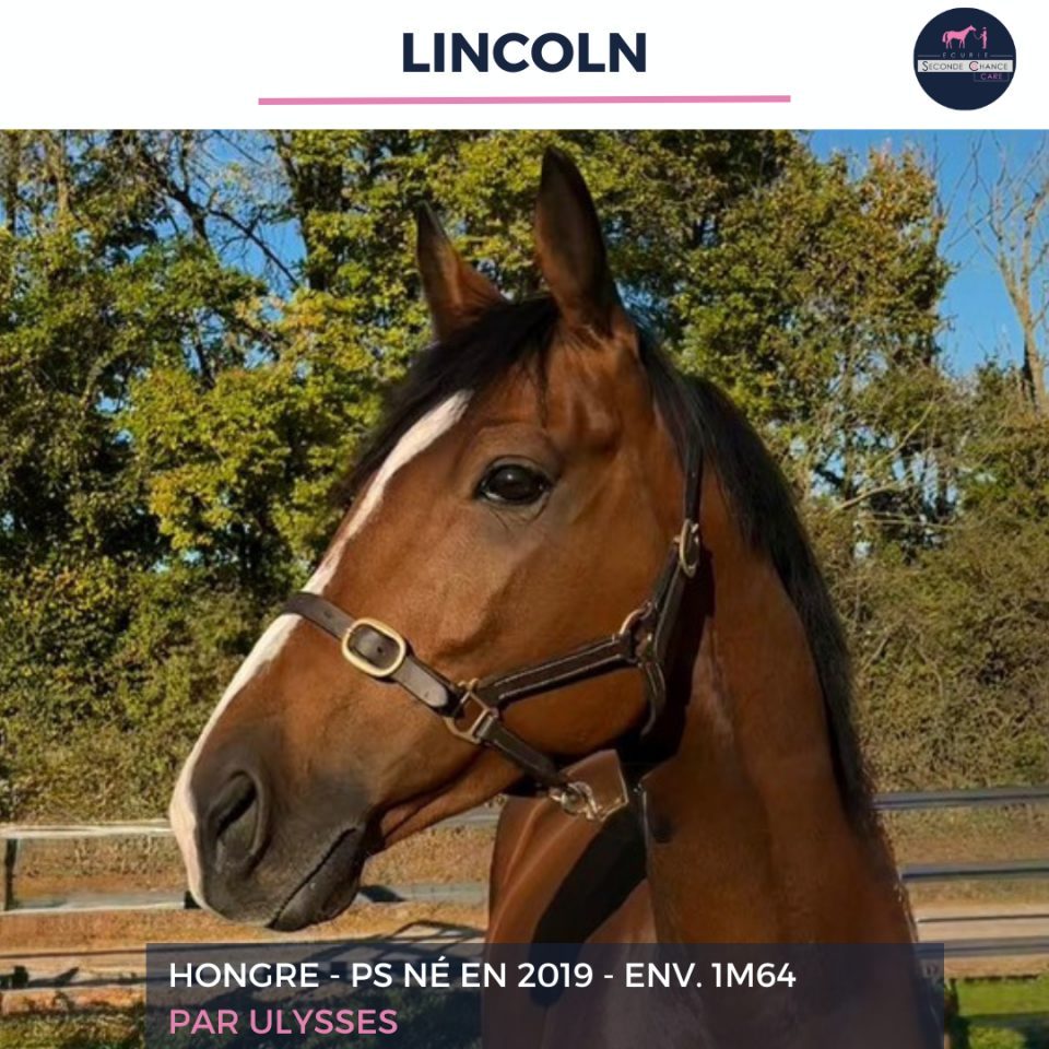 LINCOLN - PS - 6 ANS