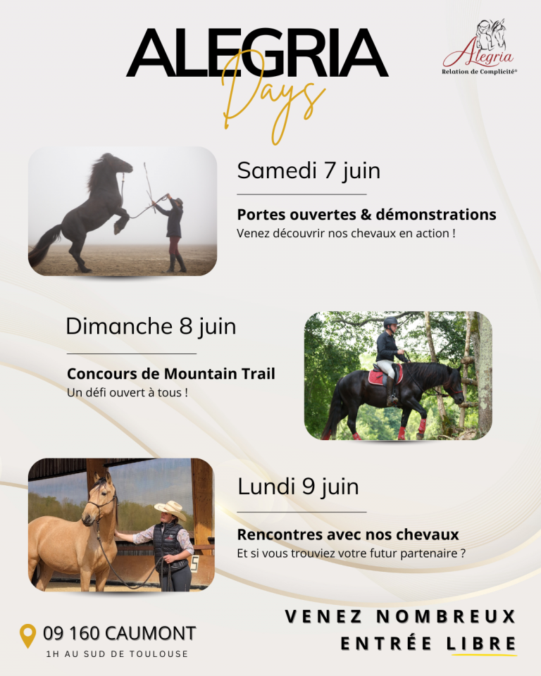 Poulain Alegria , parfait partenaire en devenir !