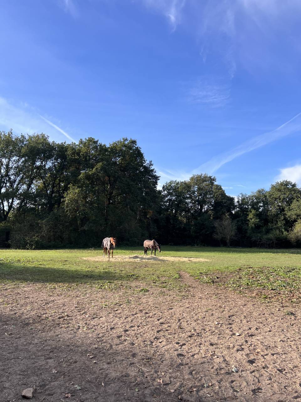 &Eacute;curies de propri&eacute;taires 