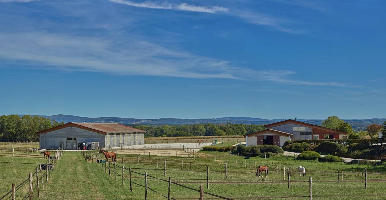 Pension chevaux 