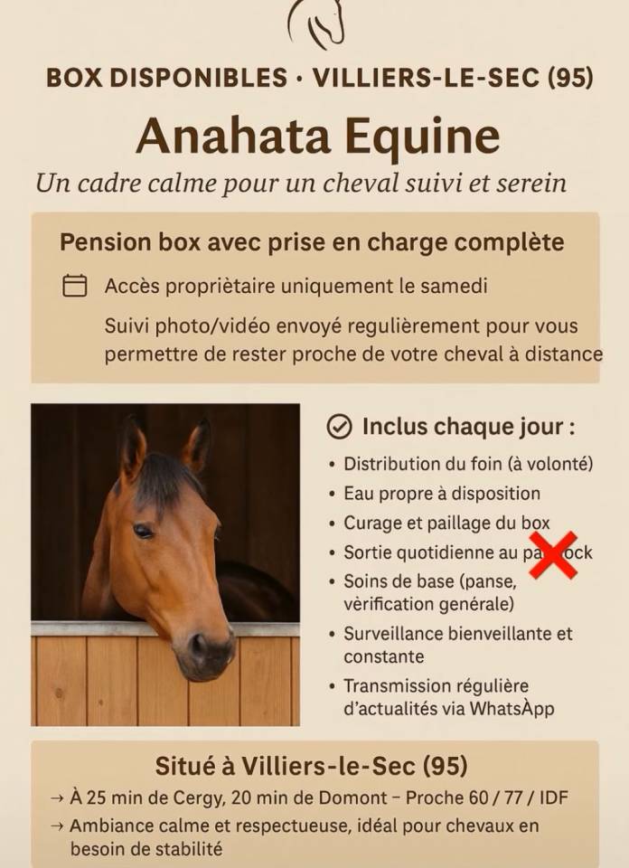 Pension boxe 95