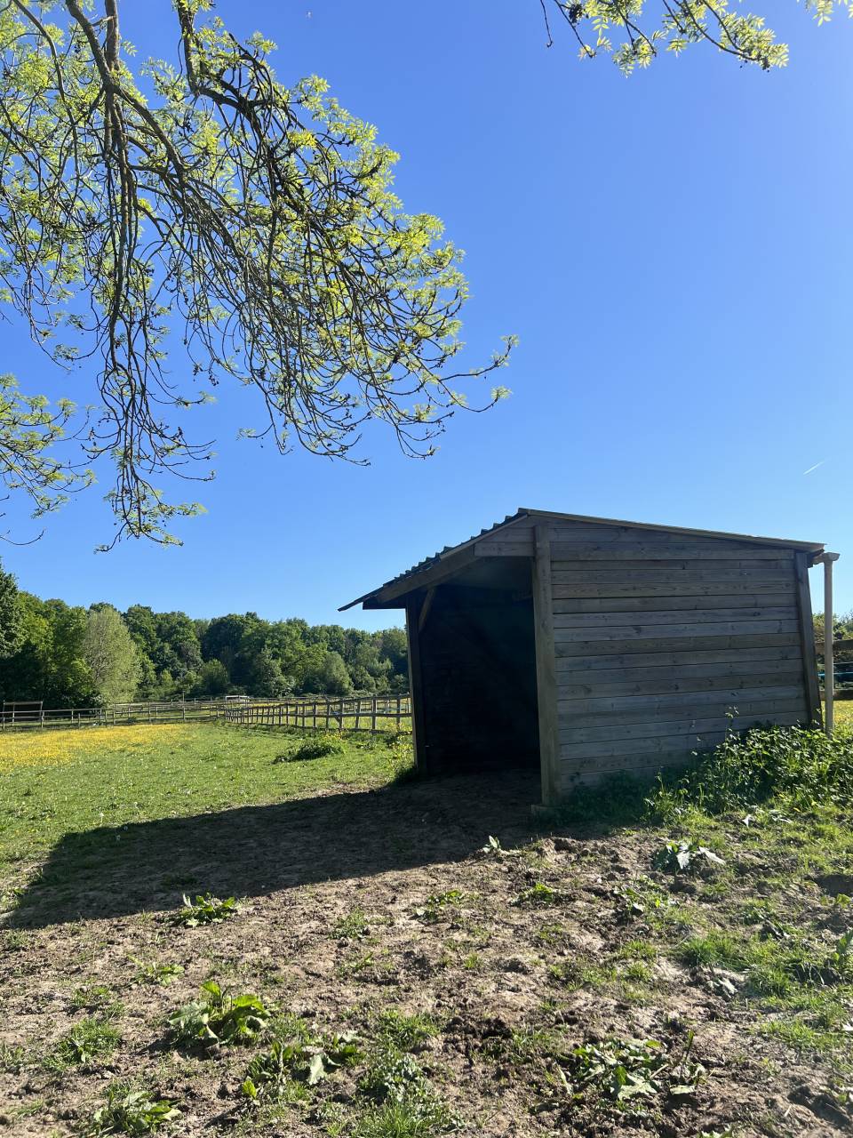 Pension Dressage et bien-être 