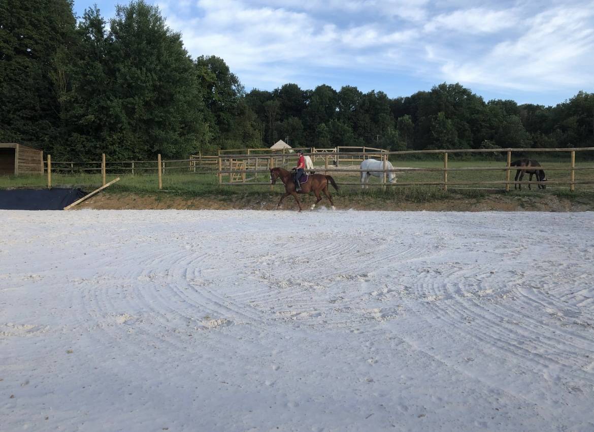 Pension Dressage et bien-être 