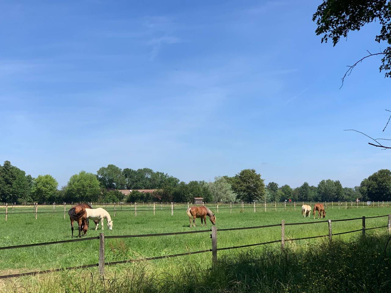 Pension près Sandrans 01