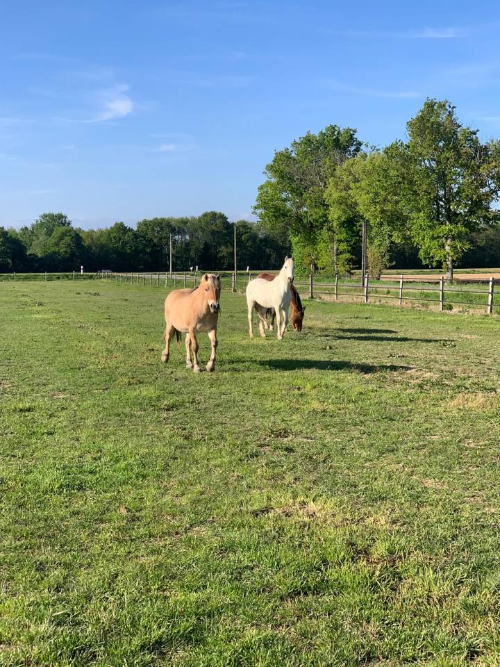 Pension près Sandrans 01