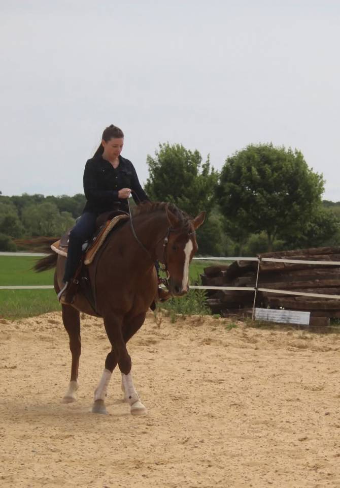 Palefrenière soigneuse indépendante 