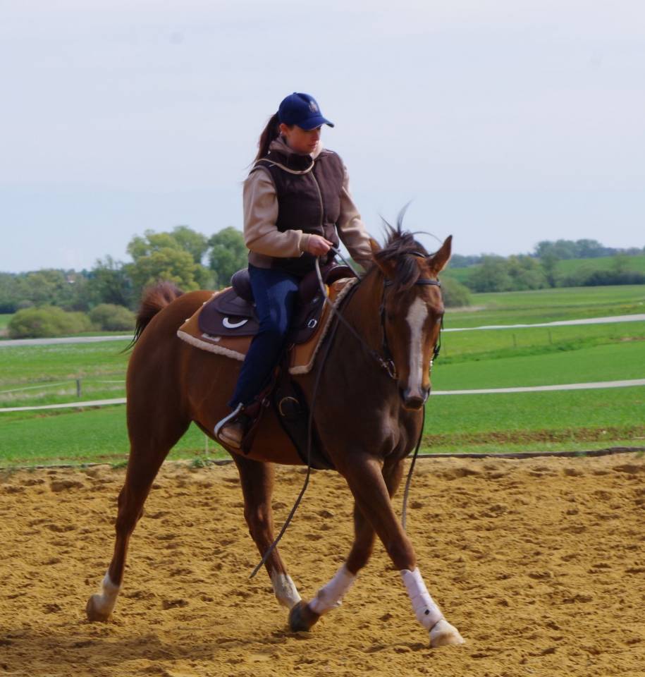 Palefrenière soigneuse indépendante 