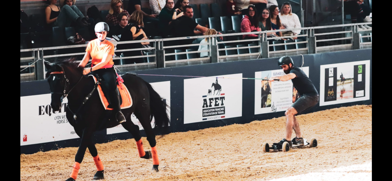 Vends hongre PRE noir