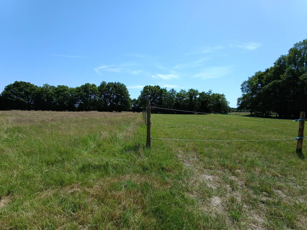 Pension chevaux à Challans (85) – stabulation libre 