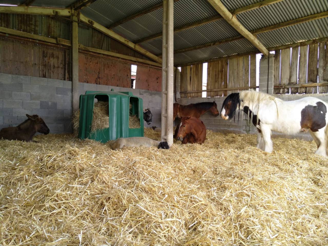 Domaine de la Sane - pension retraite 5*