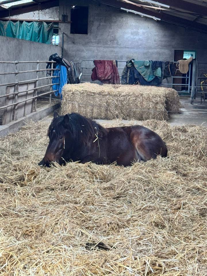 Domaine de la Sane - pension retraite 5*