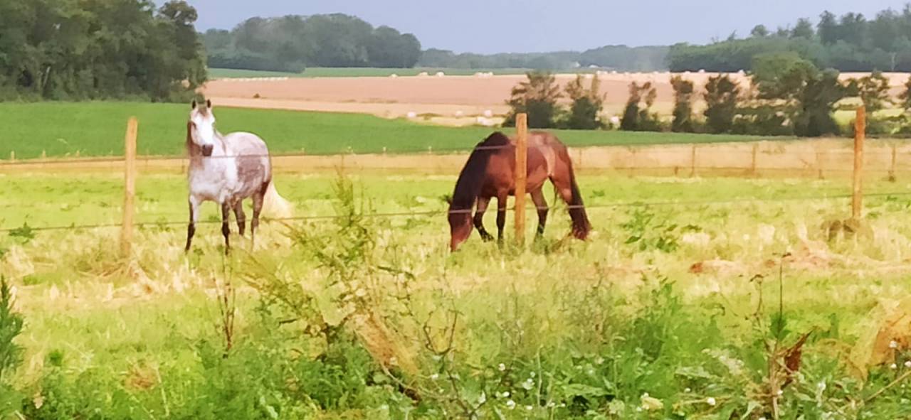 Domaine de la Sane - pension retraite 5*