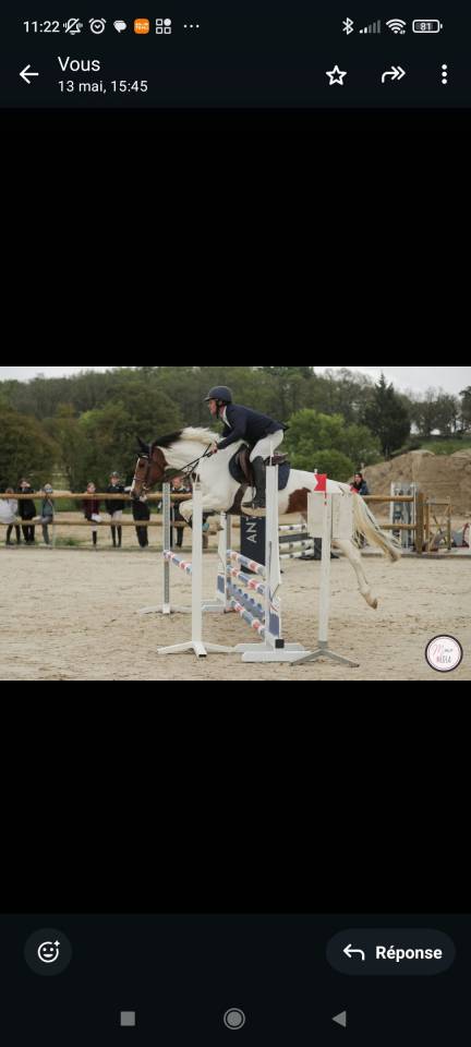 Pie 4 ans cso