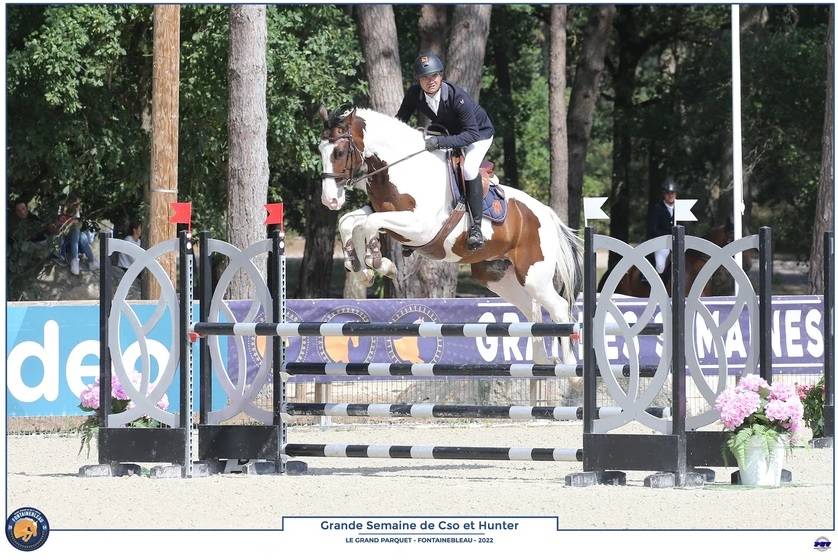 Hiawatha Las Benex Z poulain CSO pie