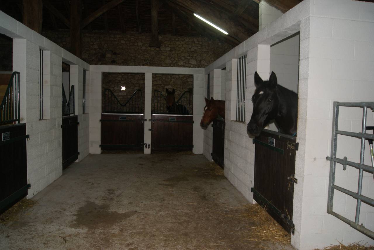 Pension chevaux - Elevage de Galaxy 47360 Sembas