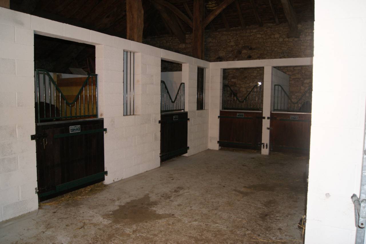 Pension chevaux - Elevage de Galaxy 47360 Sembas