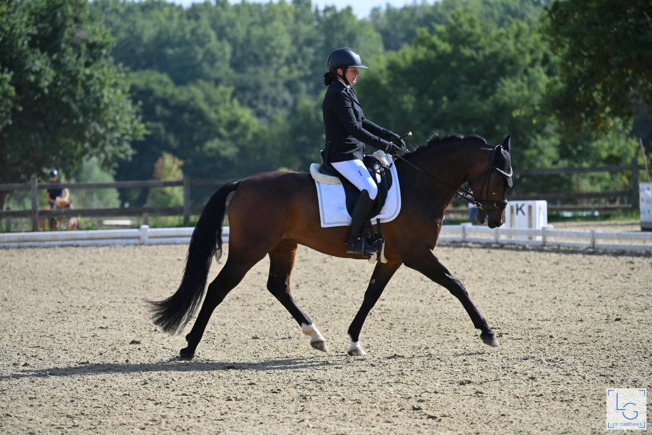 SF 5 ans Dressage 