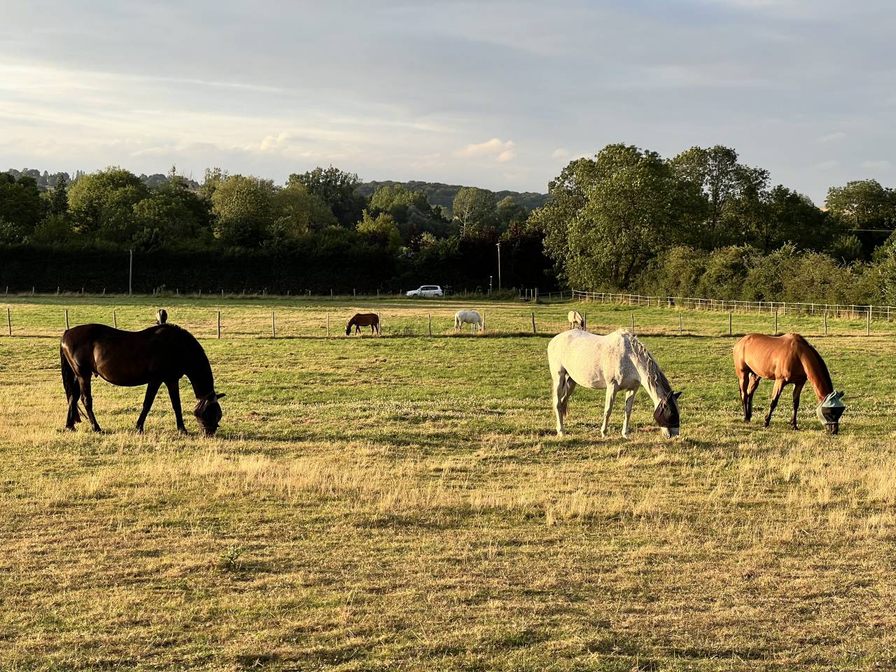 Pensions Box-Paddock &bull; Travail &bull; Pr&eacute; &bull; Retraite 