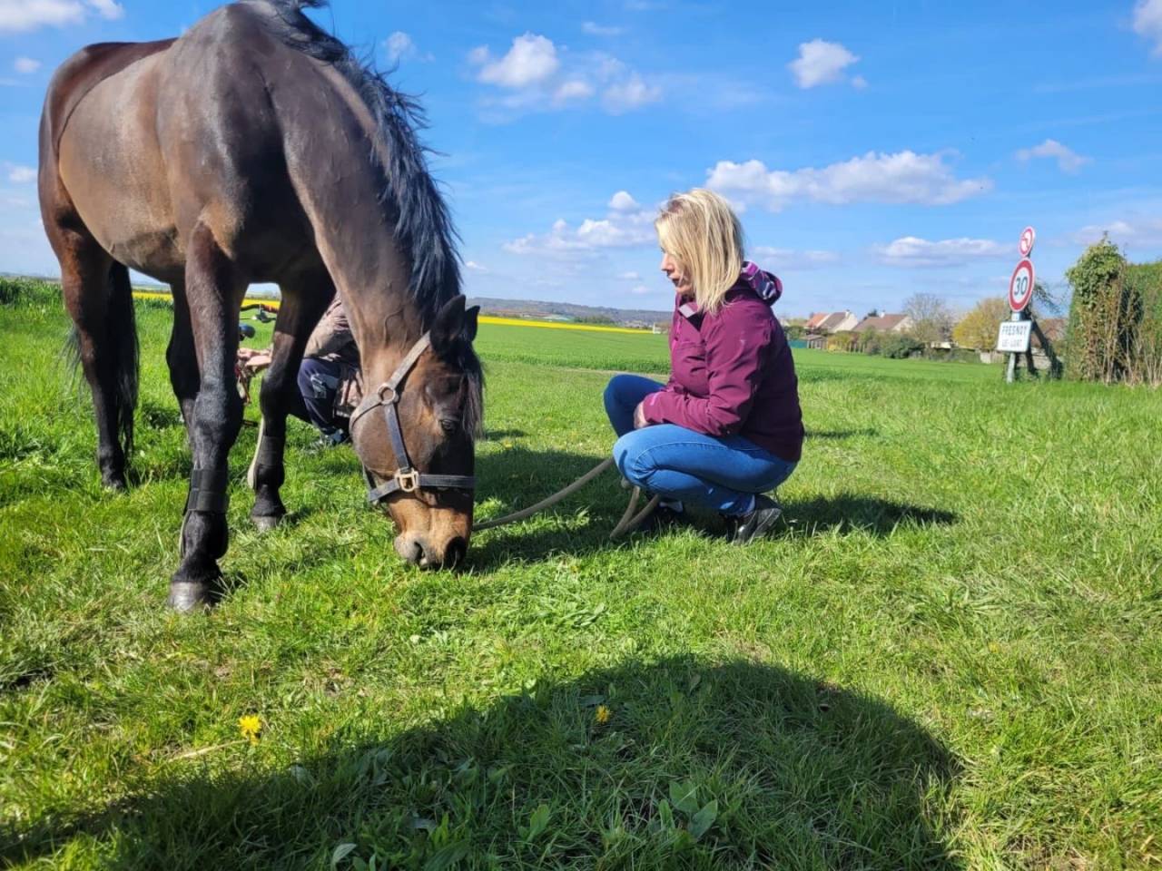 Palefrenier soigneur 