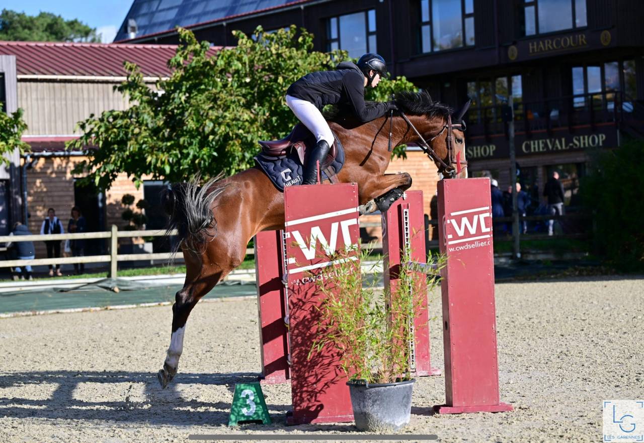 Pouliche Sf 2025 génétique prometteuse 