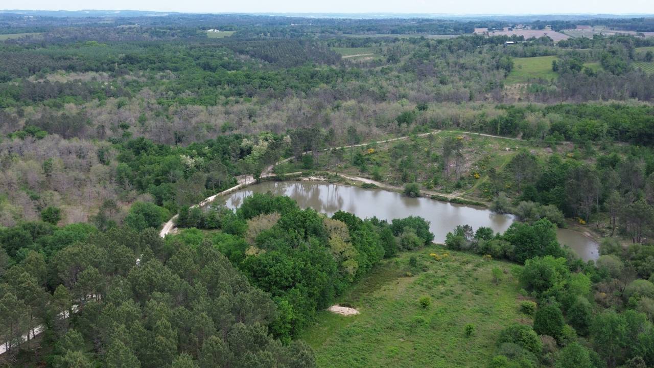 951415_1749578467_2395.jpg