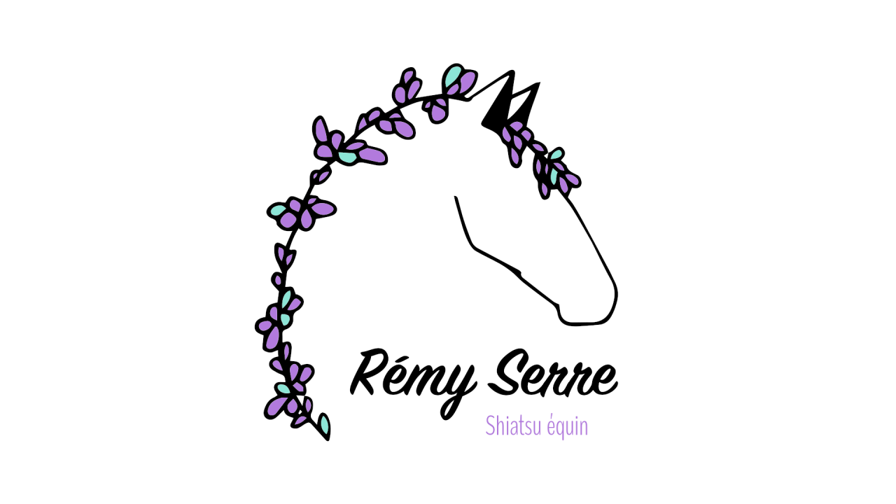 Remy Serre Shiatsu Equin