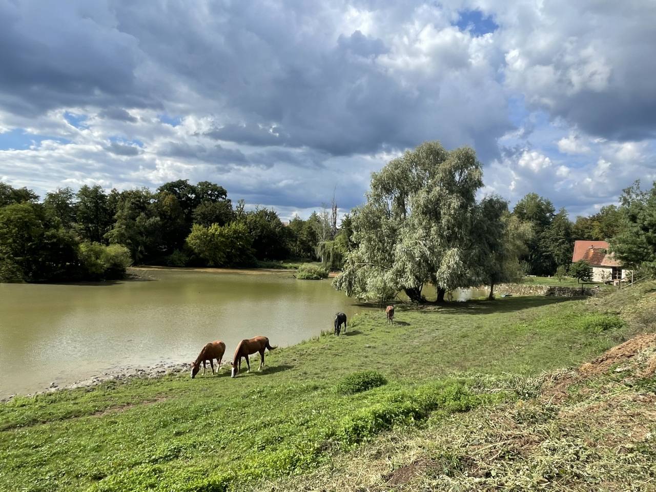 Place en pension disponible 