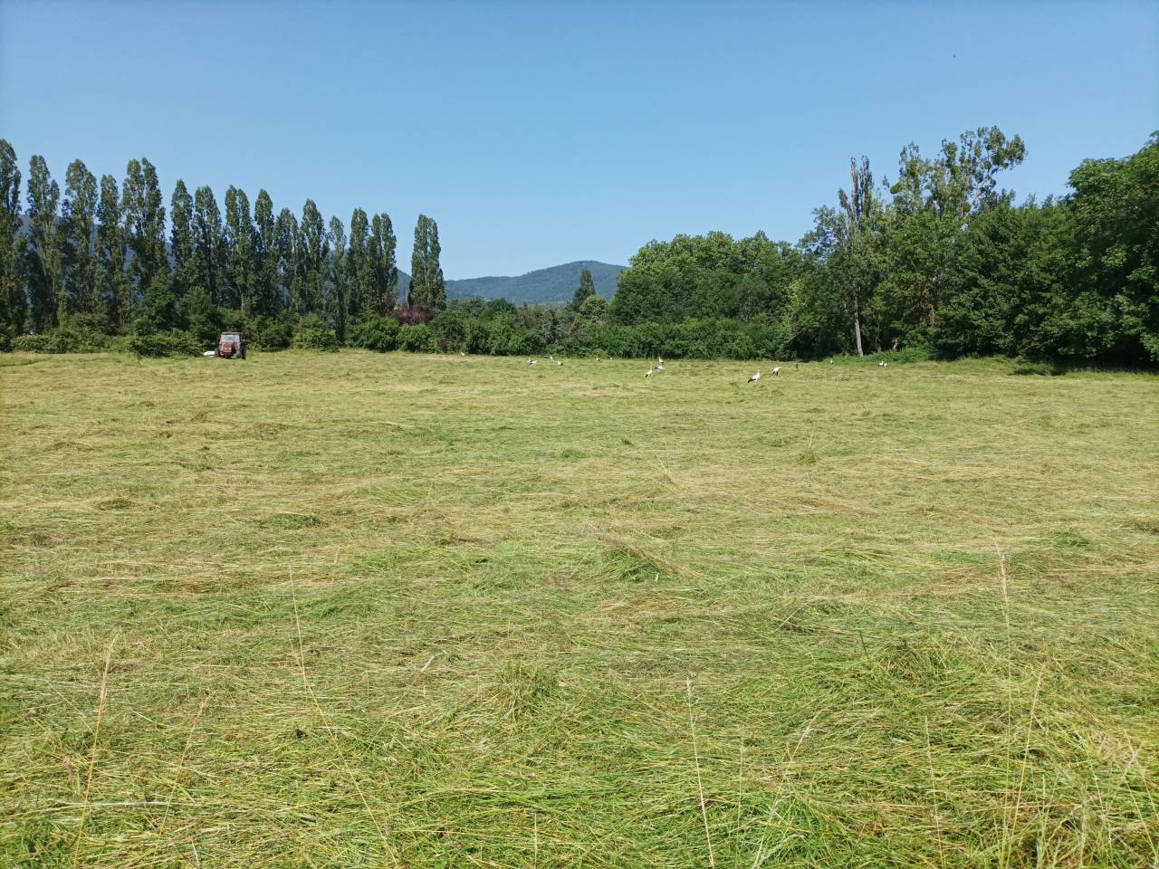 Pension pré