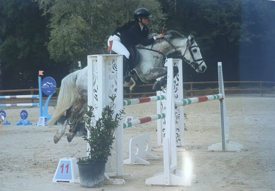 À vendre Égérie d'hurl'vent gagnante Poney Élite 