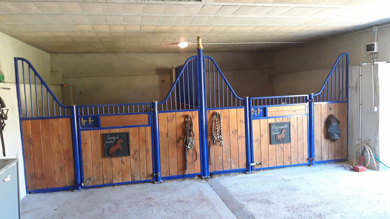 951972_1749893226_4087.jpg