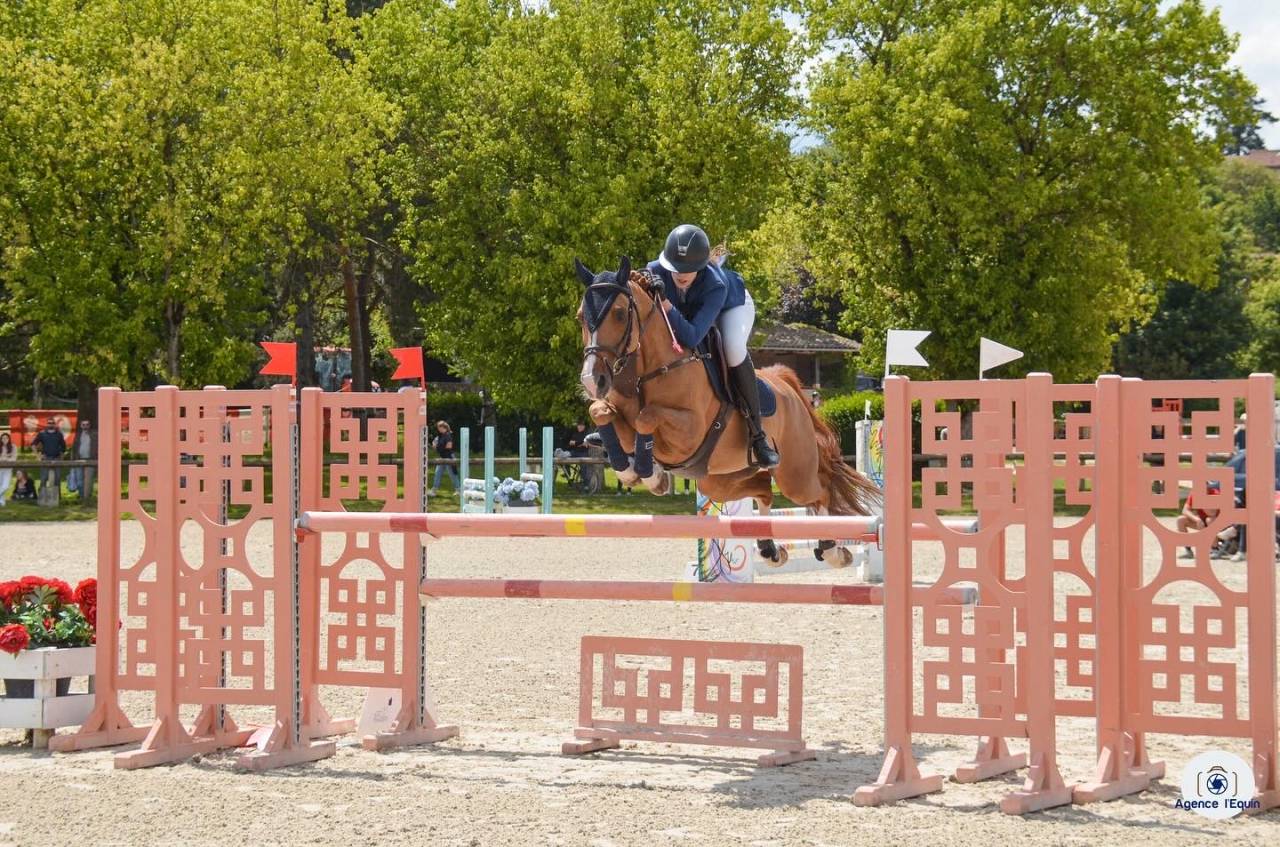 A VENDRE PONEY DE SPORT