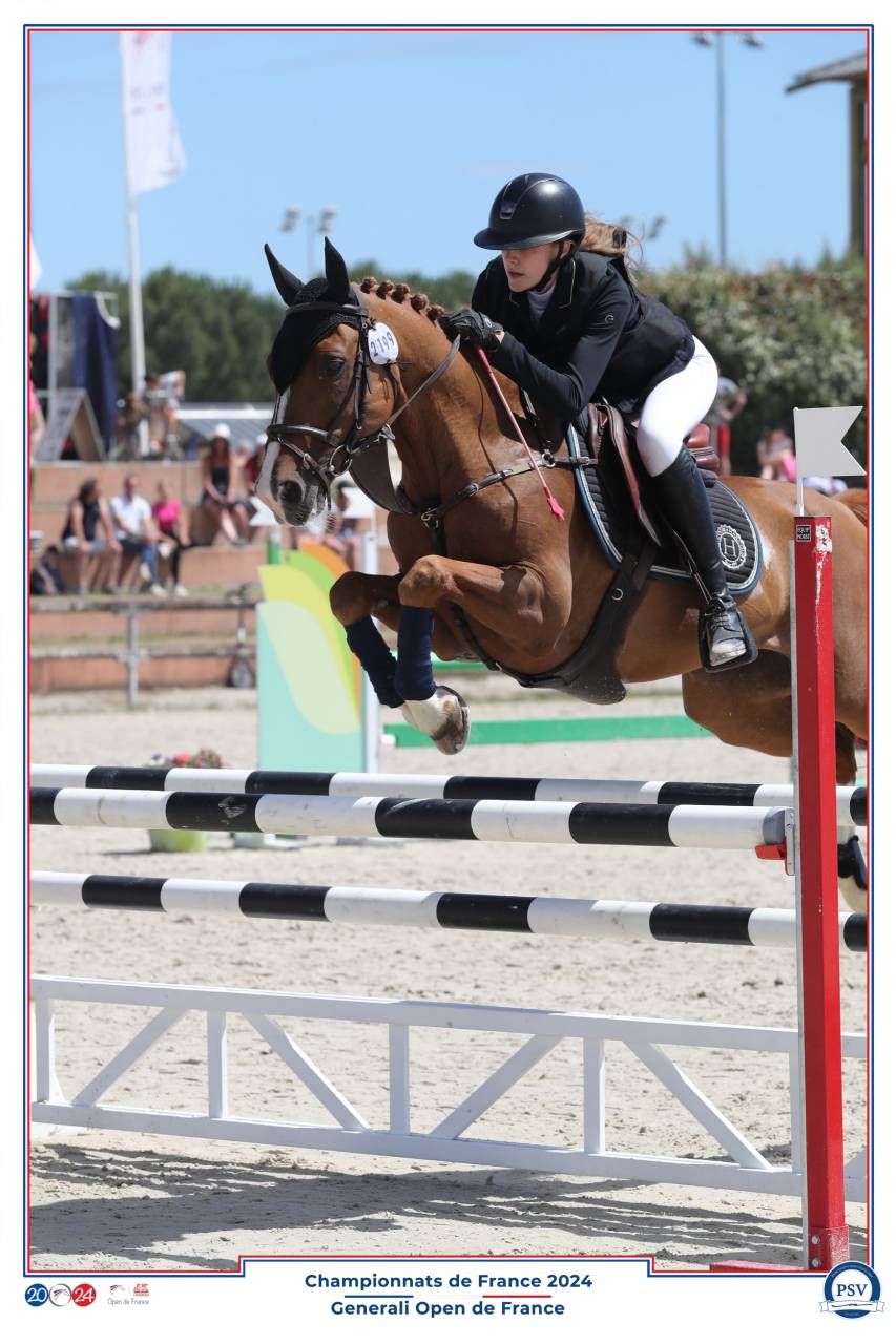 A VENDRE PONEY DE SPORT