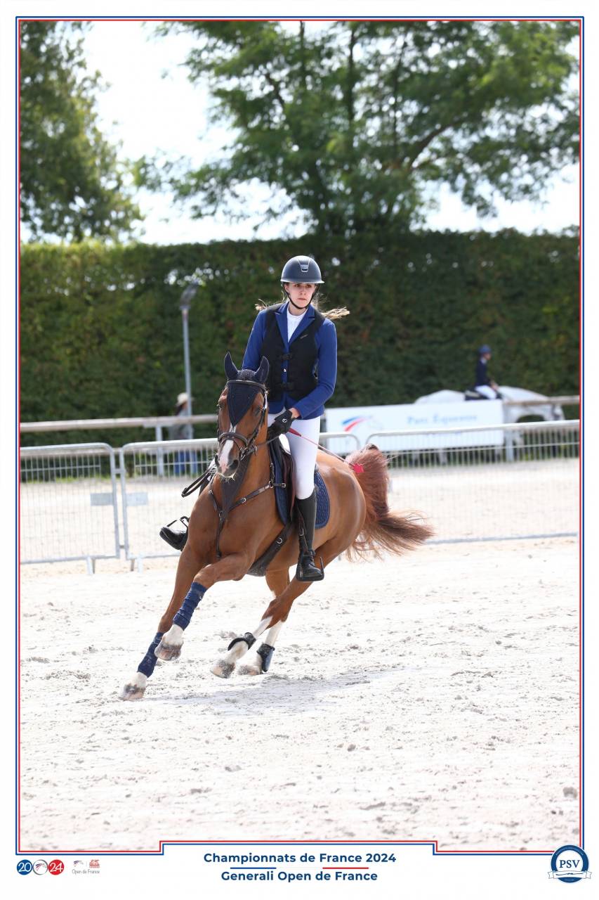 A VENDRE PONEY DE SPORT