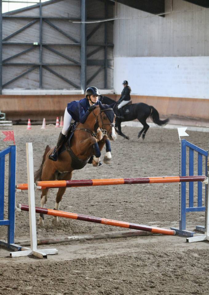 A VENDRE PONEY DE SPORT