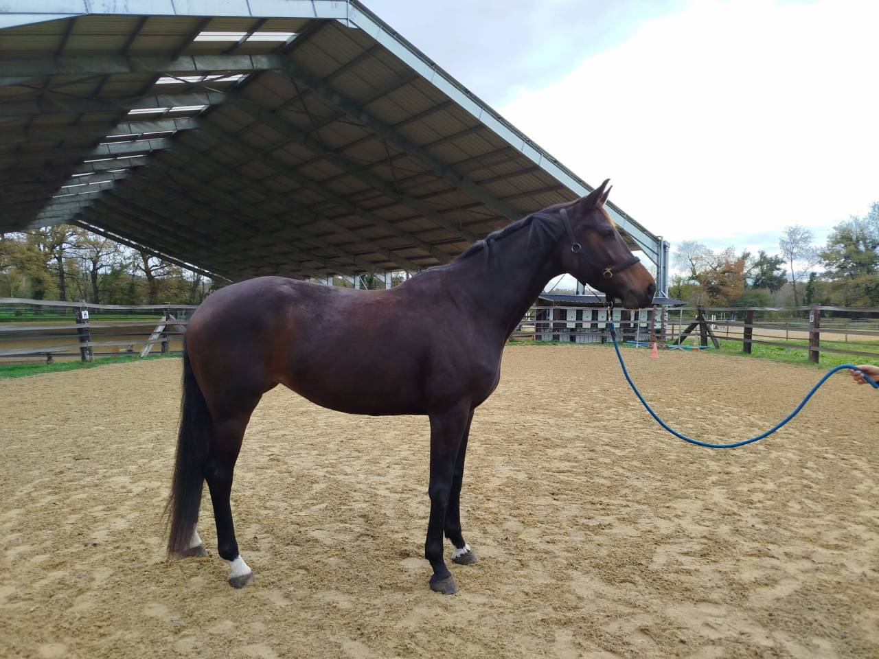 La Baronnie présente 