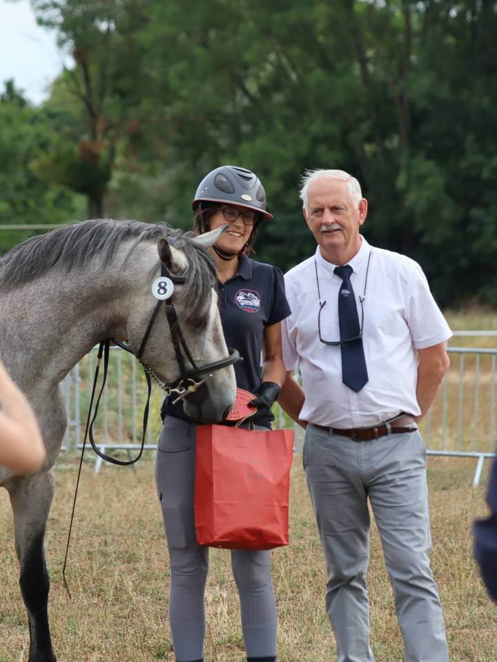 Poney Connemara Petit D 3 ans projet sport et repro