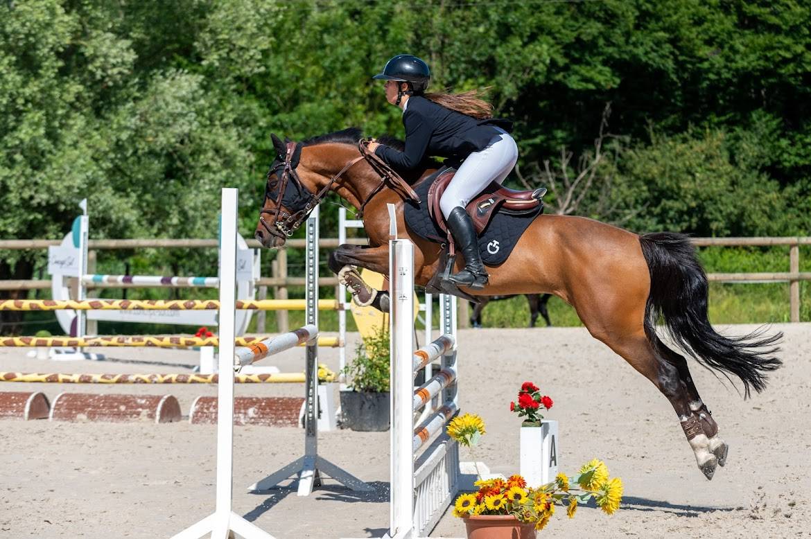 Poney de sport à vendre 