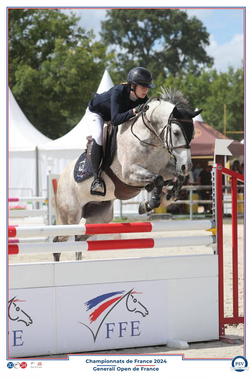 A VENDRE PONEY DE SPORT FADO D'HURL'VENT